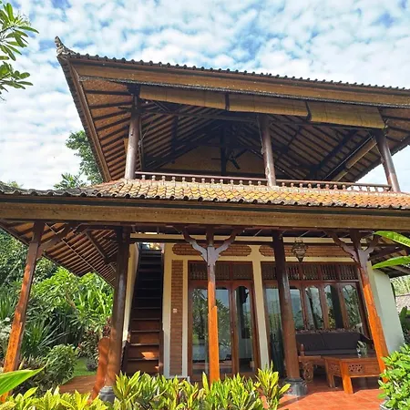 Lihat Sawah Cottage